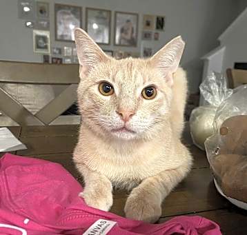 Photo of Gabriel