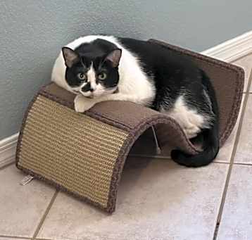 Photo of Olivia
