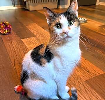 Photo of Penelope