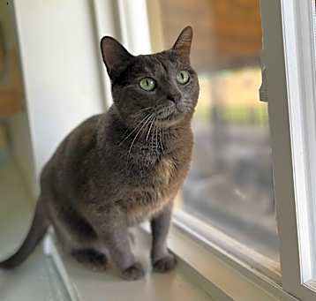 Photo of Myrtle