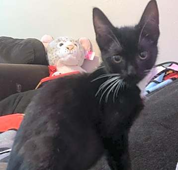 Photo of Digit