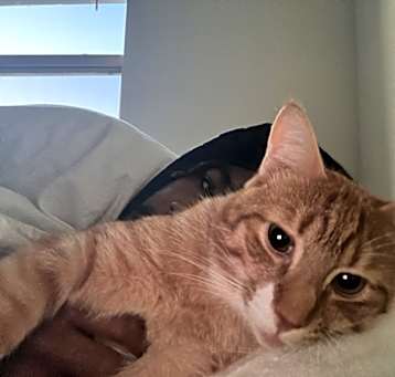 Photo of Abouy