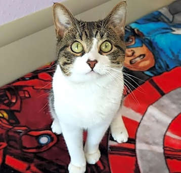 Photo of Bucky
