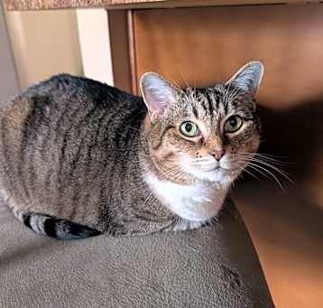 Photo of Fleur