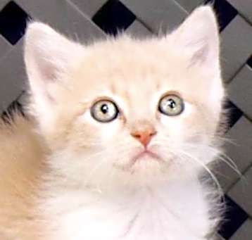 Photo of Rolly