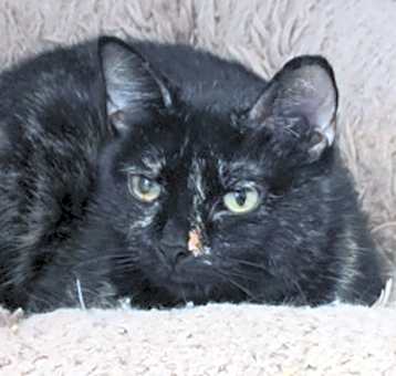 Photo of Leela