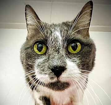 Photo of Tootsie