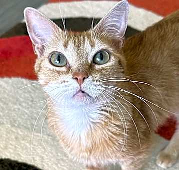 Photo of Joelle