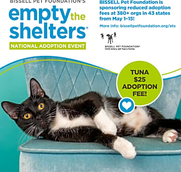 Photo of Tuna - $25 Bissell Sponsored Adoption Fee!