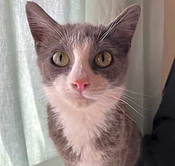 Photo of Winston