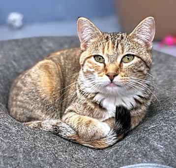 Photo of Elsie