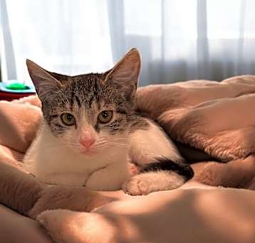 Photo of Cloudy