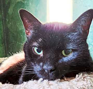 Photo of Princey