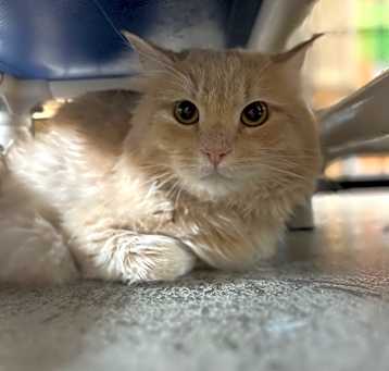 Photo of Marty