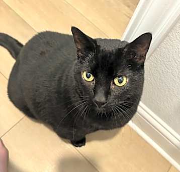 Photo of Pooter