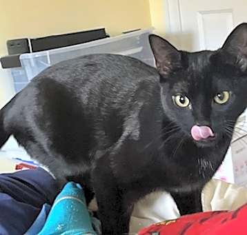 Photo of Salem