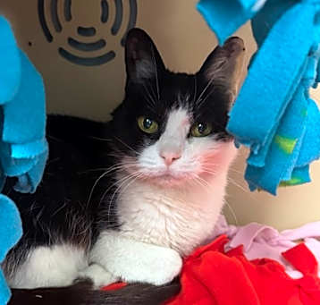 Photo of Milly