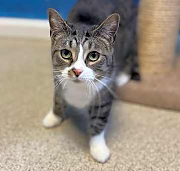 Photo of Boots