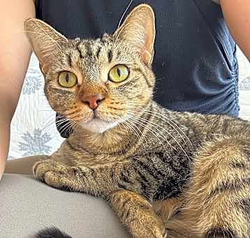 Photo of Junie