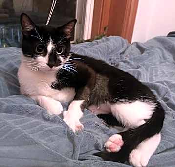 Photo of Phantom