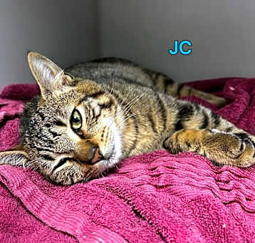 Photo of JC