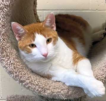 Photo of Critter