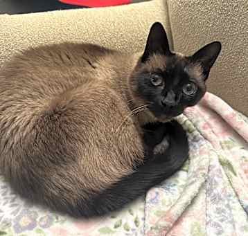 Photo of Mia