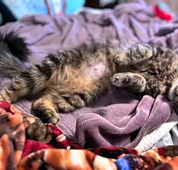 Photo of Max