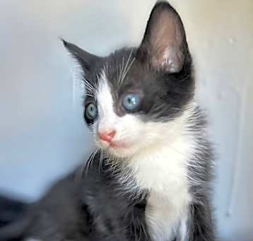 Photo of Salvador