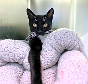 Photo of SALLY