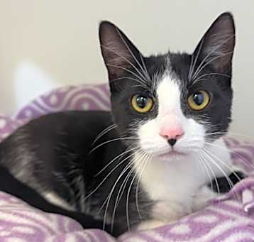 Photo of Tilly