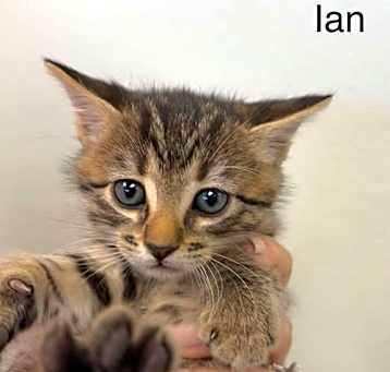 Photo of Ian