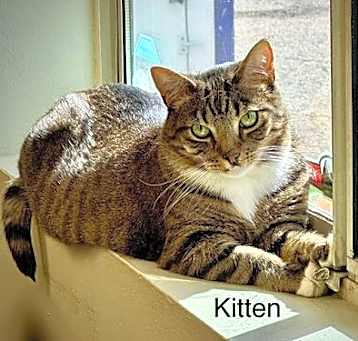Photo of Zach aka Kitten