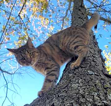 Photo of Lucy