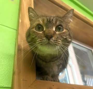 Photo of Skeeter