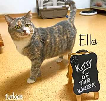 Photo of Ella