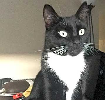 Photo of Gus