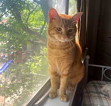 Photo of Franklin