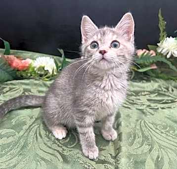 Photo of Bernadette