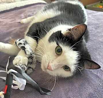 Photo of Moo