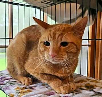 Photo of Baxter