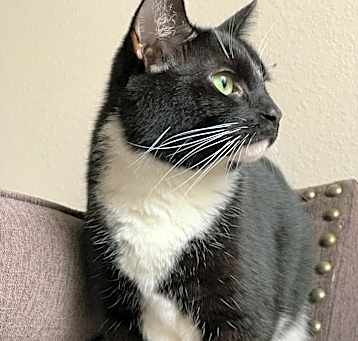 Photo of Iroh
