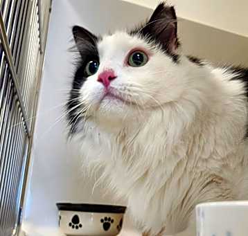 Photo of Baby Cloud