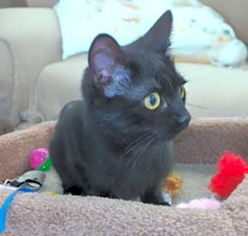 Photo of Elvira