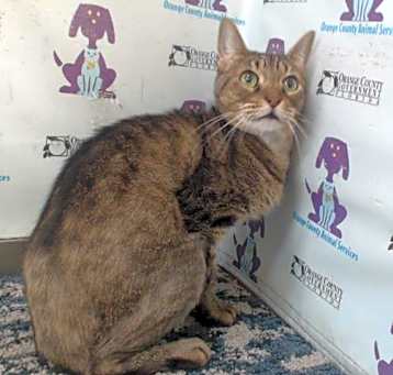 Photo of LEELOO