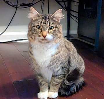 Photo of Rebecca