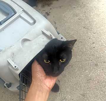 Photo of Salem