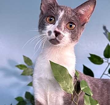 Photo of Esme