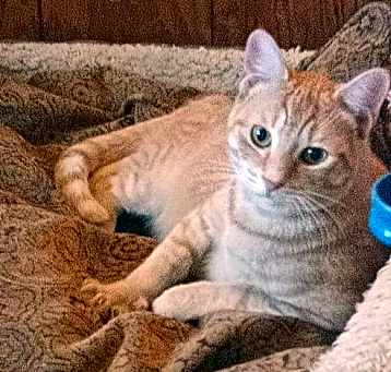 Photo of Frankie