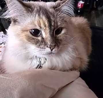 Photo of Bubbles